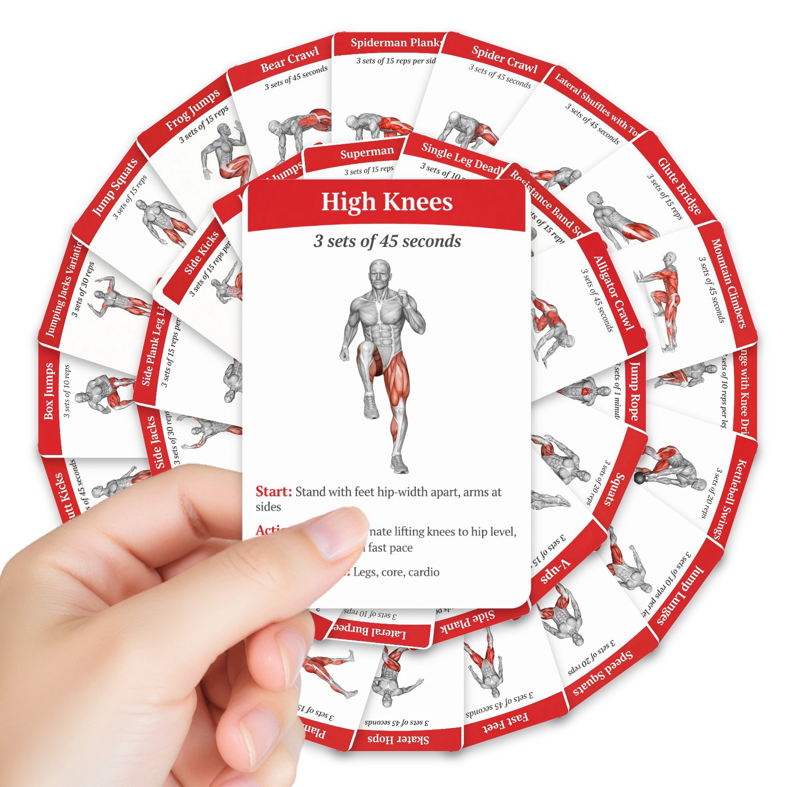 Home Gym Guide - 36Pcs Full Body Fat Burning Workout