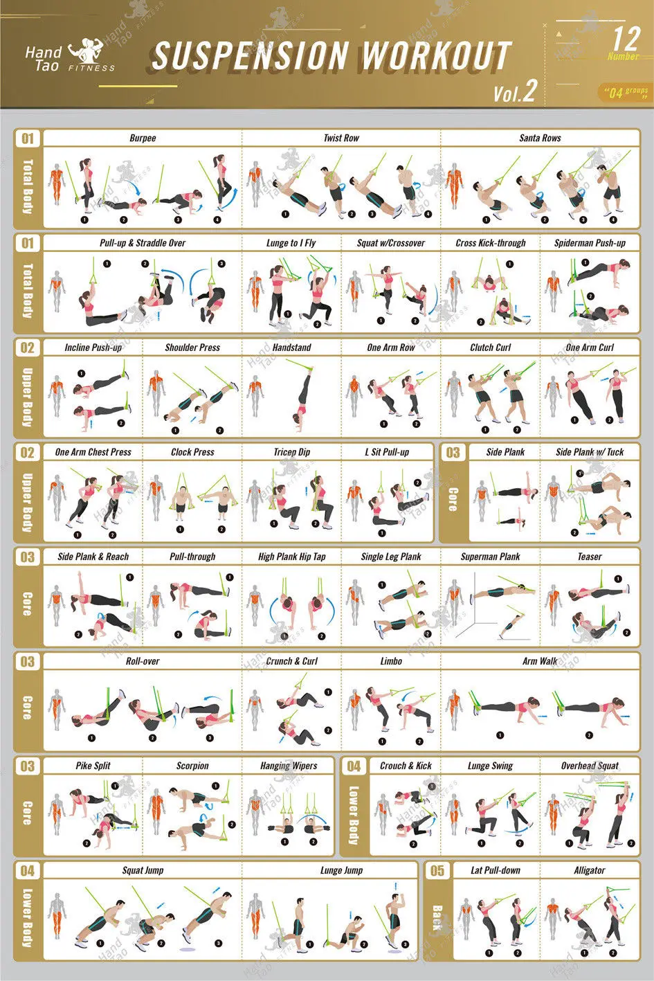 X007 Home Decor Suspension Exe - đánh giá và giá Home Gym Guide
