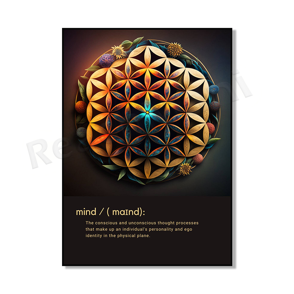 Mind Body Spirit - Colorful Mo - đánh giá và giá Home Gym Zen