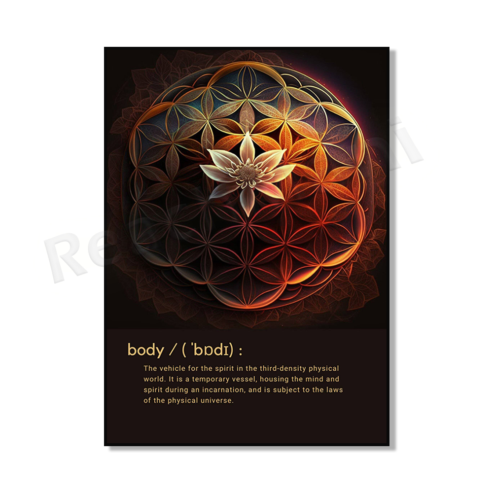 Mind Body Spirit - Colorful Mo - đánh giá và giá Home Gym Zen