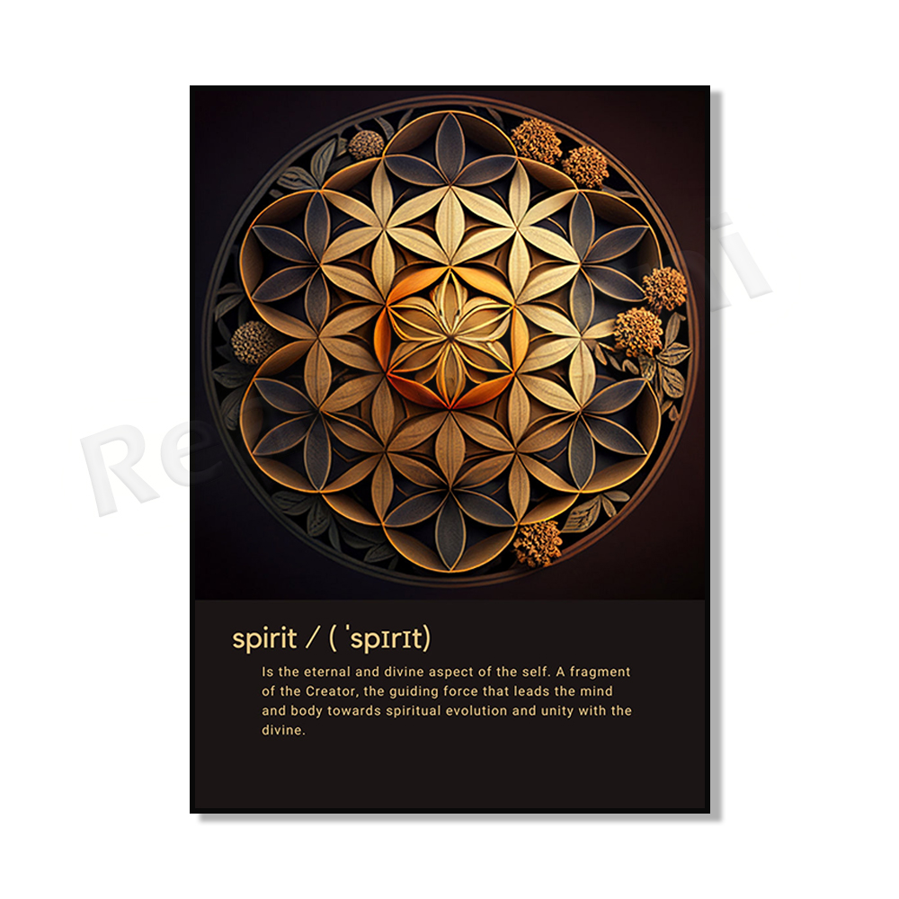 Mind Body Spirit - Colorful Mo - đánh giá và giá Home Gym Zen