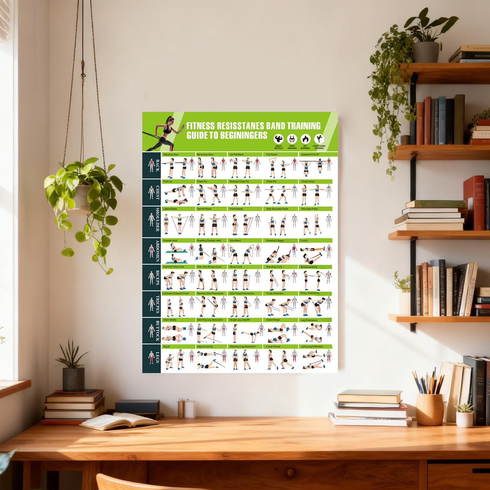 Workout Posters with Resistanc - đánh giá và giá Home Gym Guide