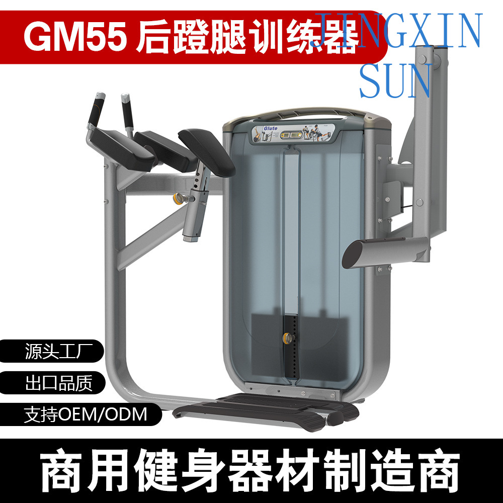 Commercial Standing Back Push  - đánh giá và giá Home Gym Leg Extension Machine