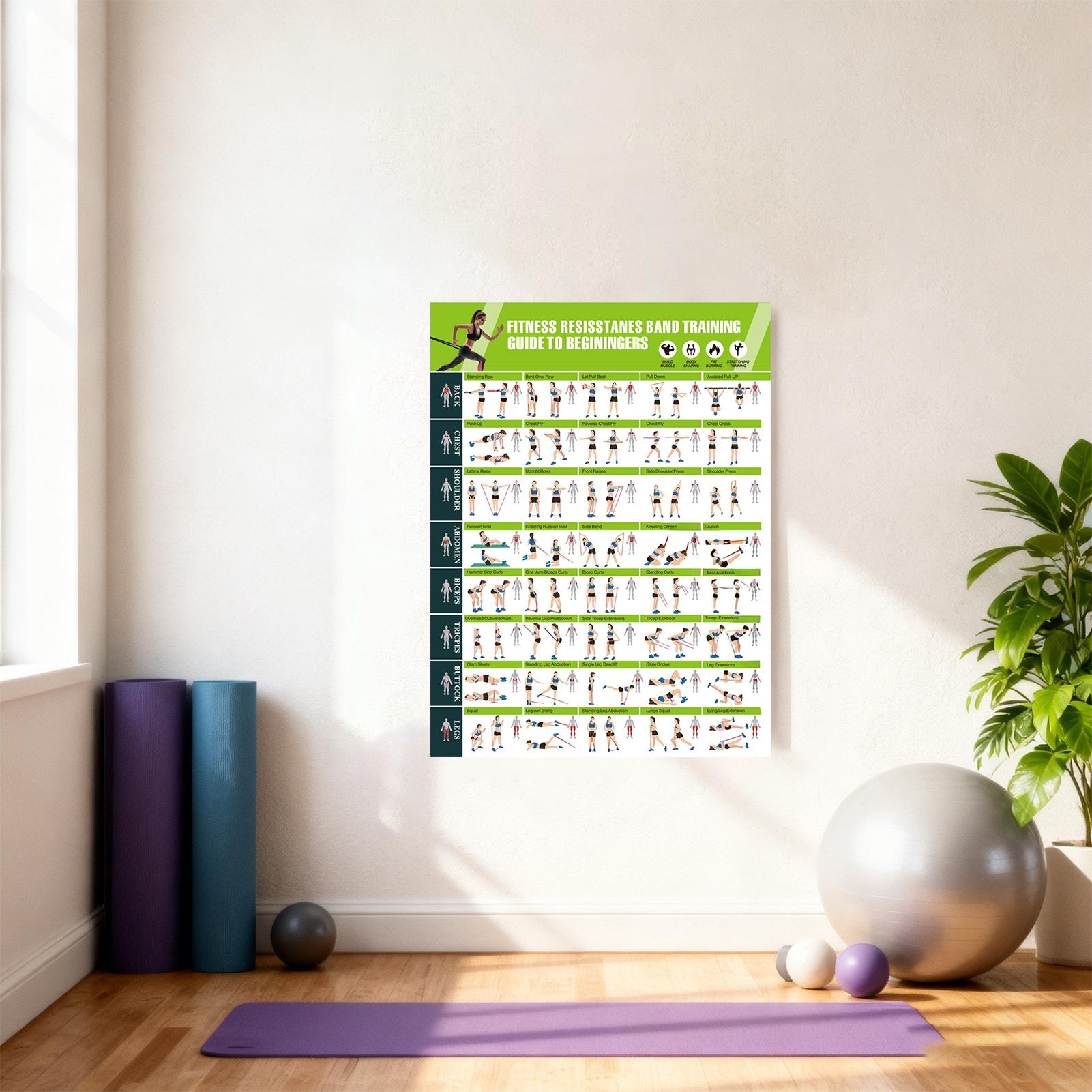 Workout Posters with Resistanc - đánh giá và giá Home Gym Guide