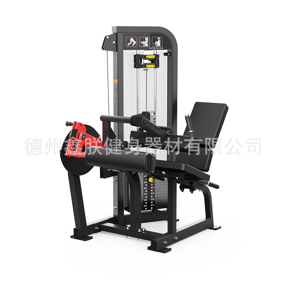 Gym Hammer Strength Equipment  - đánh giá và giá Home Gym Leg Extension Machine