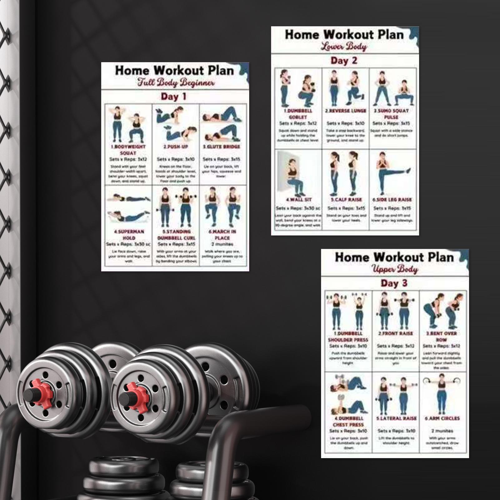 Exercise Posters 6 Pieces Full - đánh giá và giá Home Gym Guide