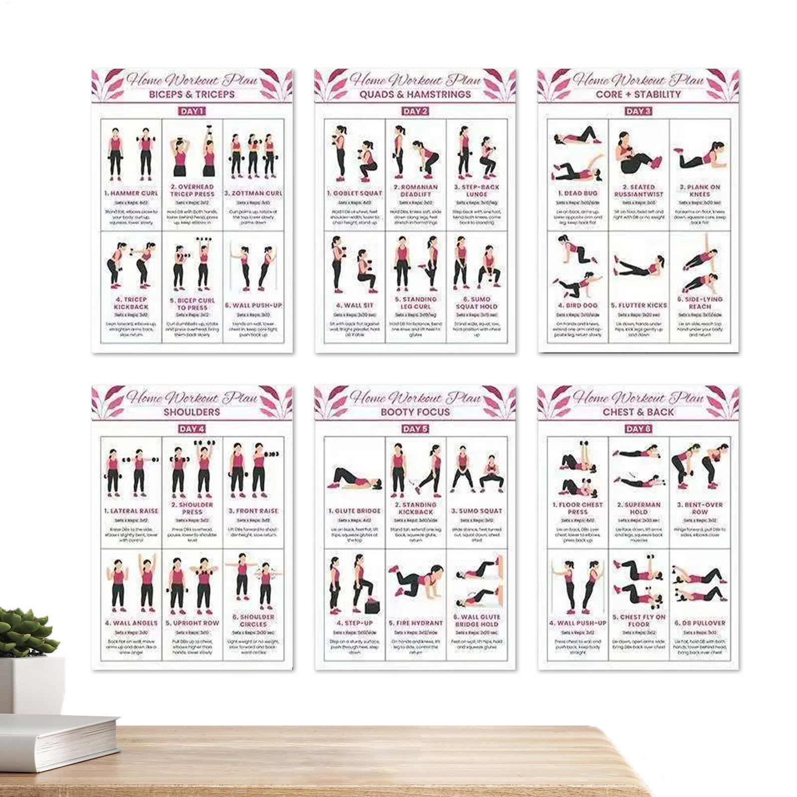 Exercise Posters 6 Pieces Full - đánh giá và giá Home Gym Guide