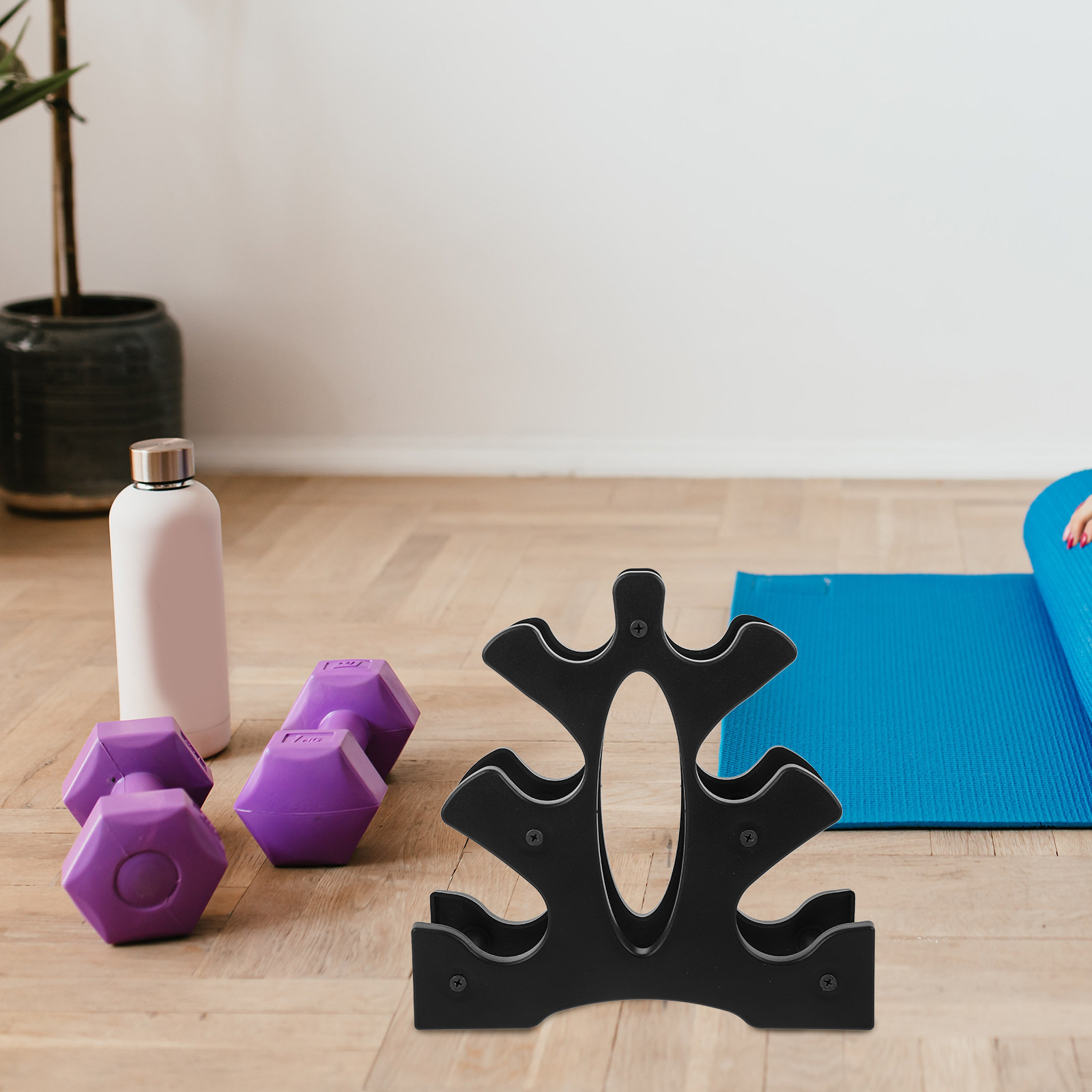 2Pcs PP Dumbbell Rack for Home - đánh giá và giá Home Gym Floor