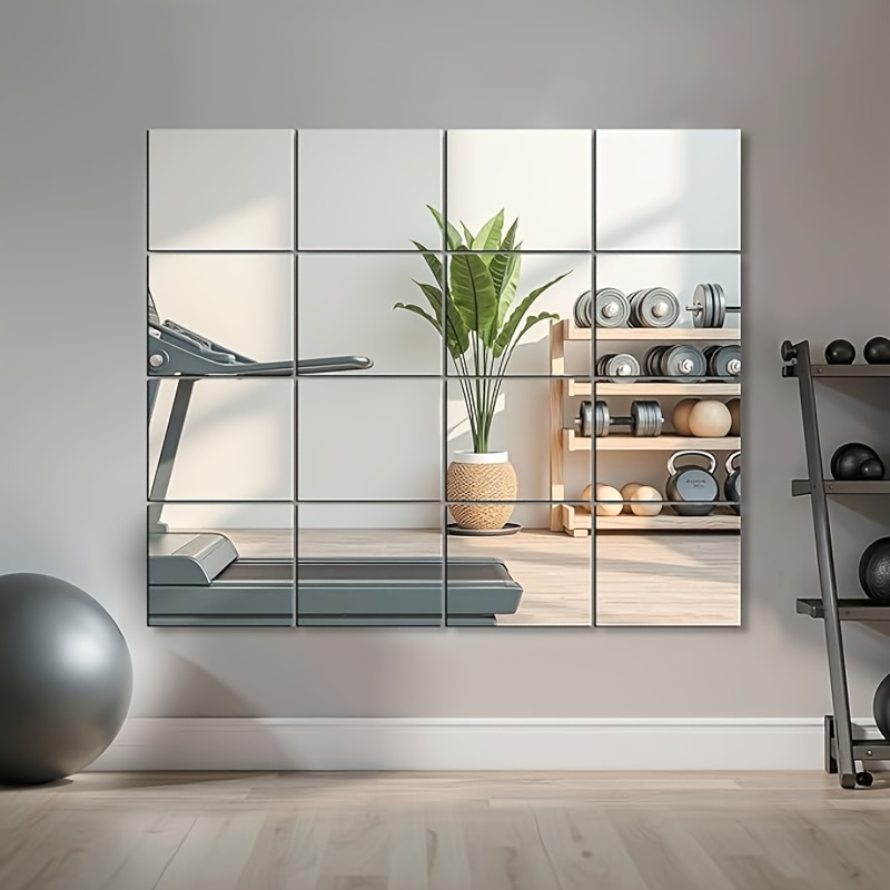 Bandwagon 2mm Acrylic Mirror S - đánh giá và giá Home Gym Needs
