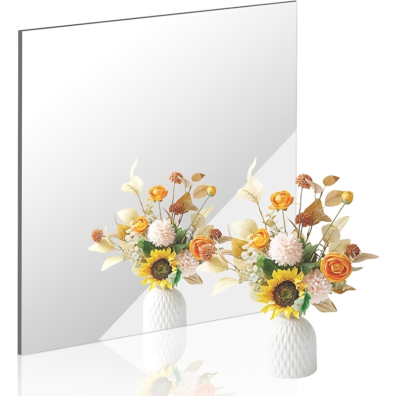 Bandwagon 2mm Acrylic Mirror S - đánh giá và giá Home Gym Needs