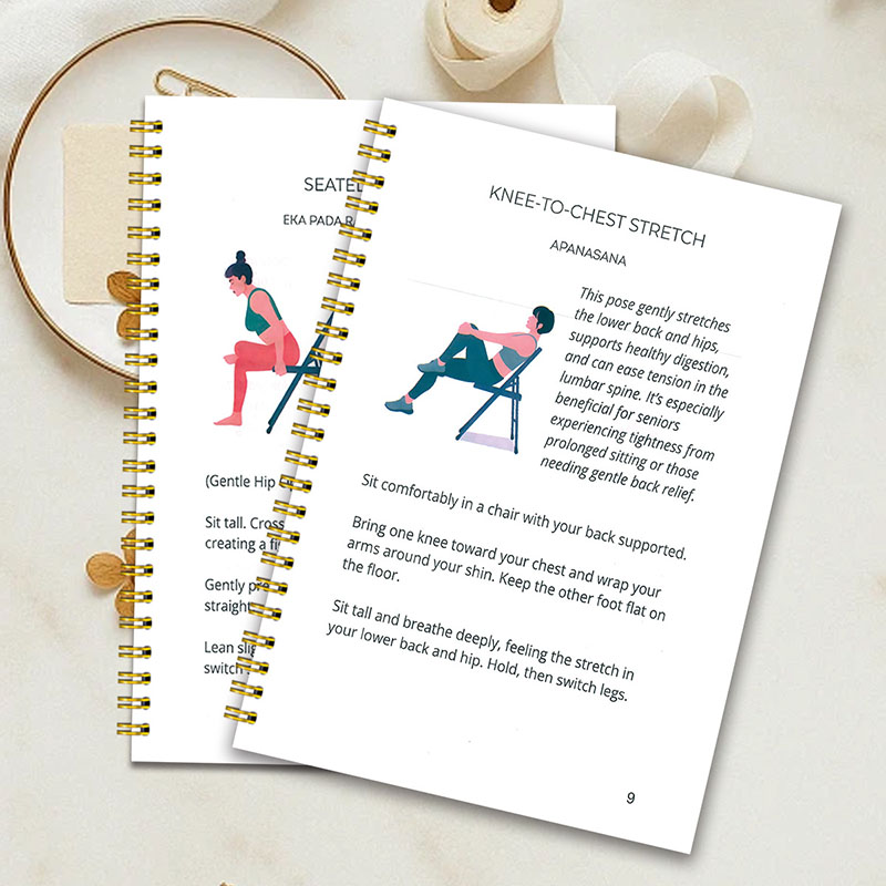 30 Day Chair Yoga Weight Loss  - đánh giá và giá Home Gym Guide