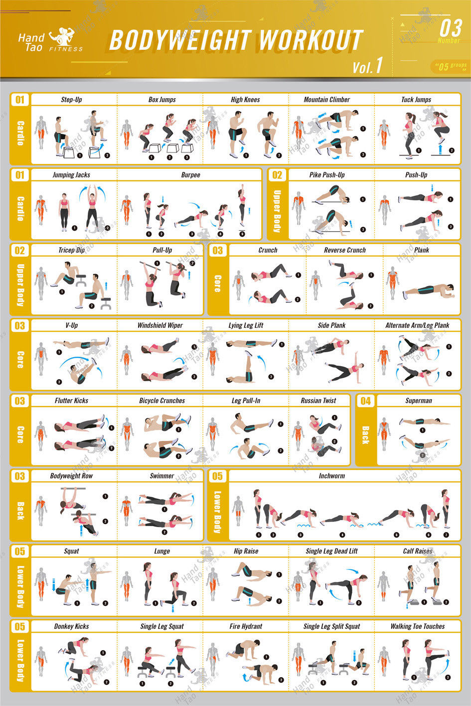 Bodyweight workout Exercise Bo - đánh giá và giá Home Gym Guide