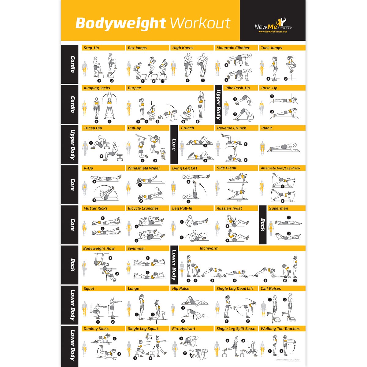 Bodyweight workout Exercise Bo - đánh giá và giá Home Gym Guide