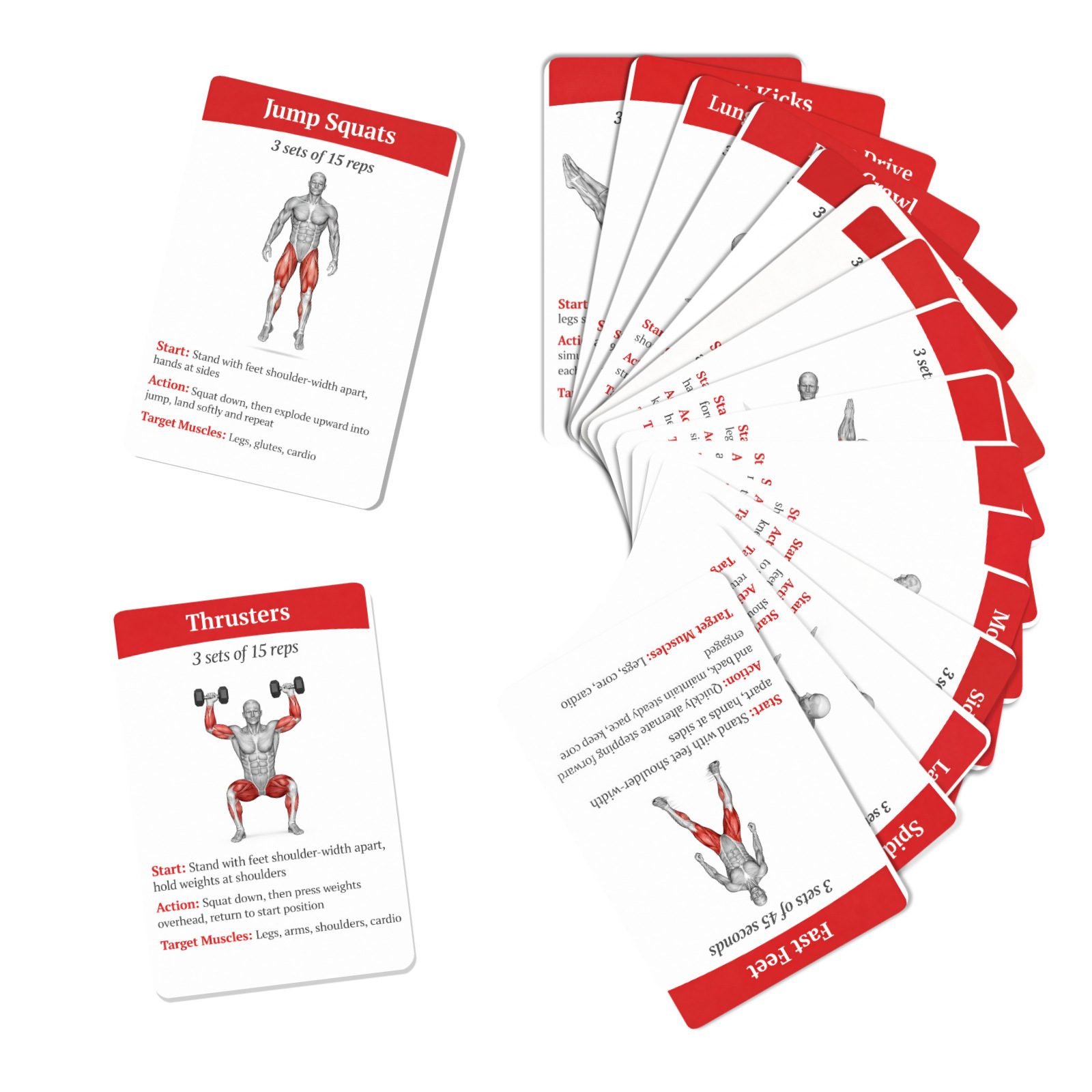 36Pcs Full Body Fat Burning Wo - đánh giá và giá Home Gym Guide